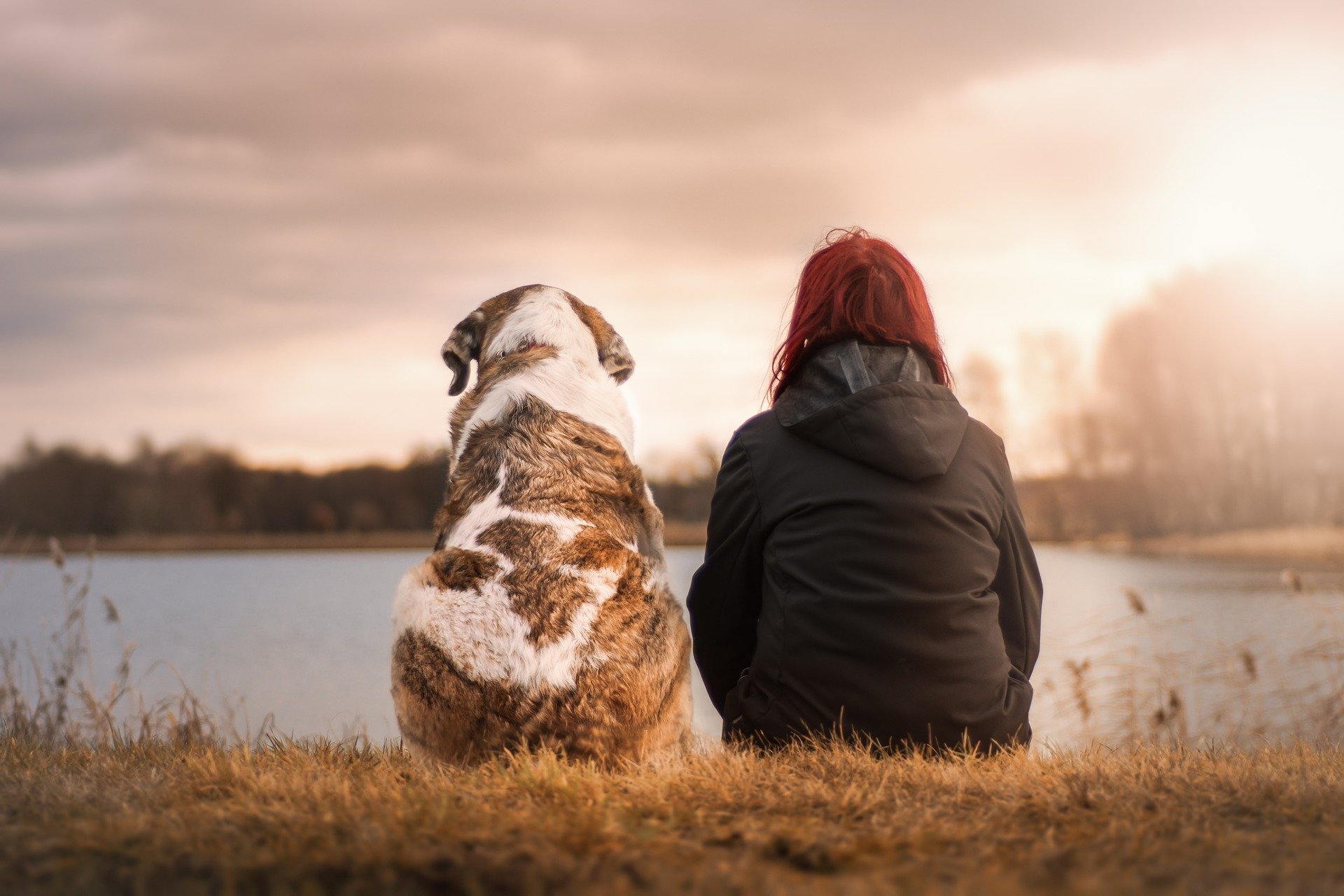 Persona e cane insieme all'aperto